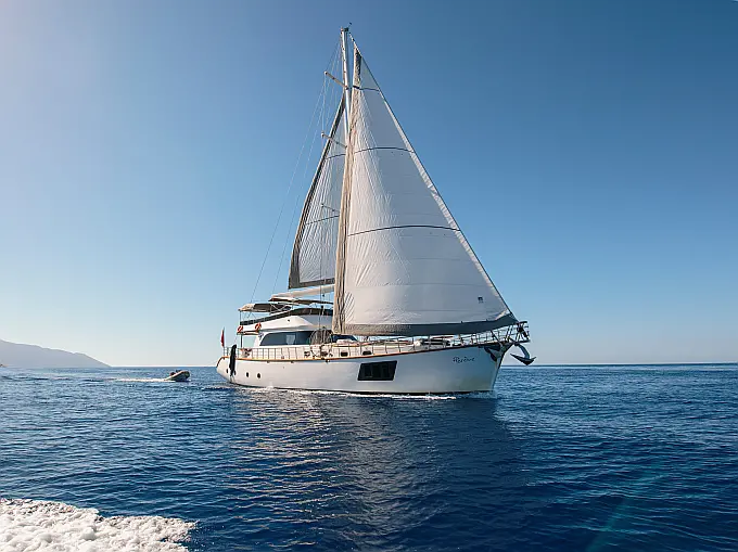 Motor Sailer